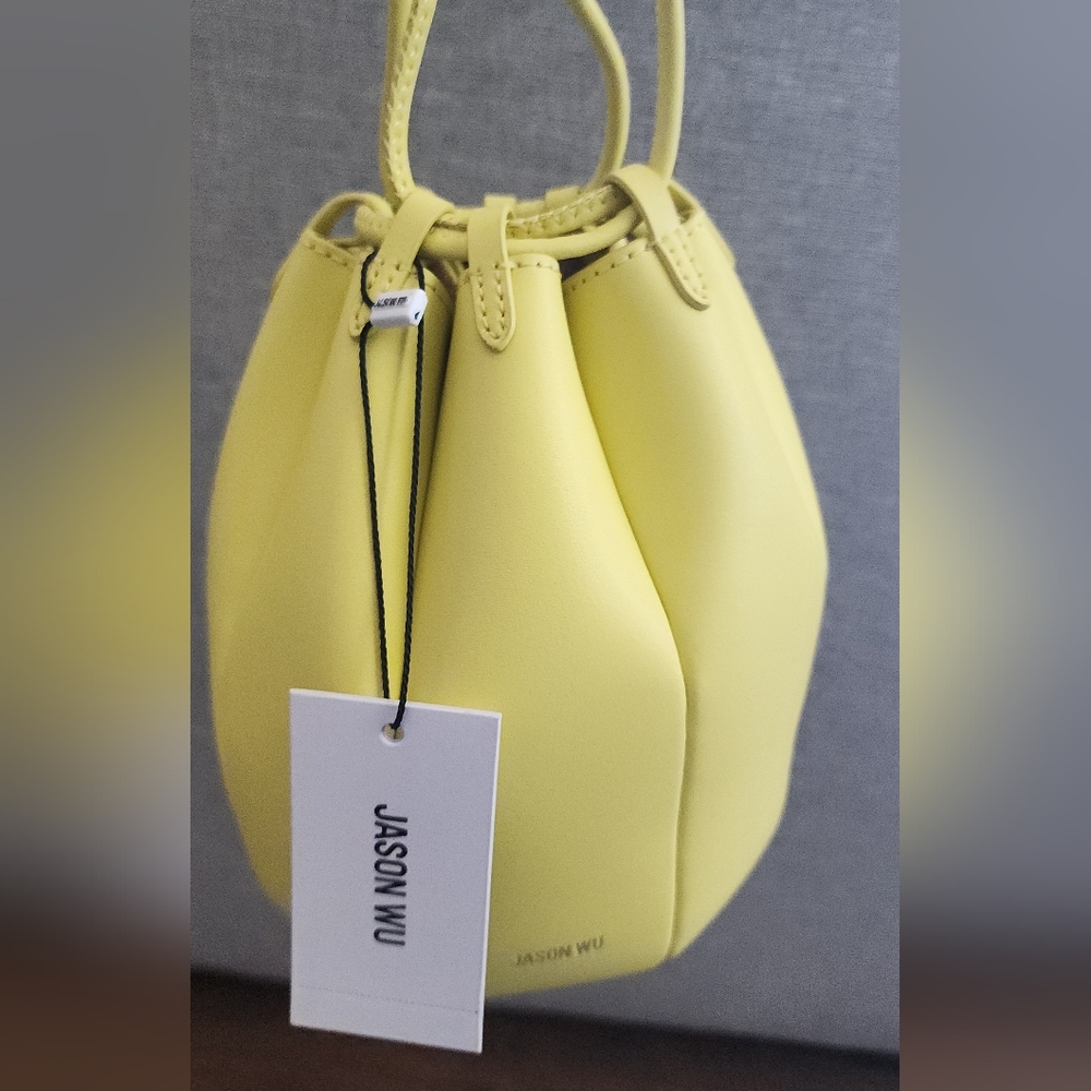 Jason Wu Tulip purse